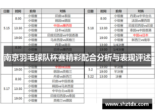 南京羽毛球队杯赛精彩配合分析与表现评述